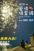 Penny Pinchers Movie Poster, 爱情储蓄罐 2023 Film, Chinese movie