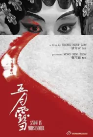 Snow in Midsummer Movie Poster, 五月雪, 2023 Film, Taiwan movie