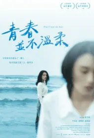 Who'll Stop the Rain Movie Poster, 青春並不溫柔, 2023 Film, Taiwan movie