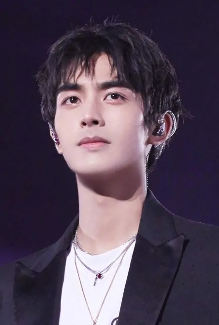 Song Weilong 宋威龙, Chinese Actor