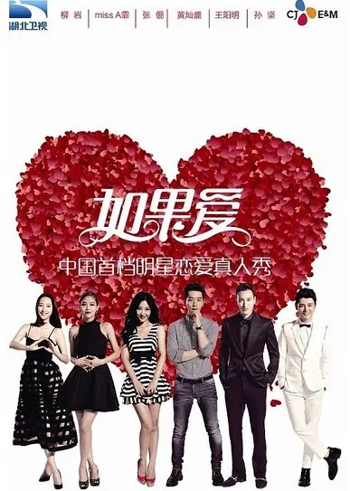 Perhaps Love Poster, 2014 Chinese TV show