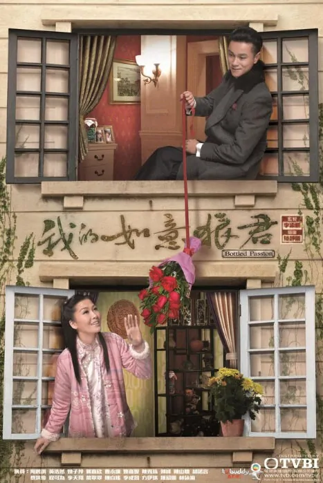 Bottled Passion Poster, 2011 TVB Drama Series