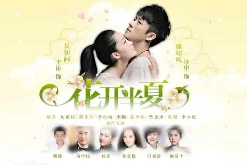 Flower Pinellia Poster, 花开半夏 2013 Chinese TV drama series