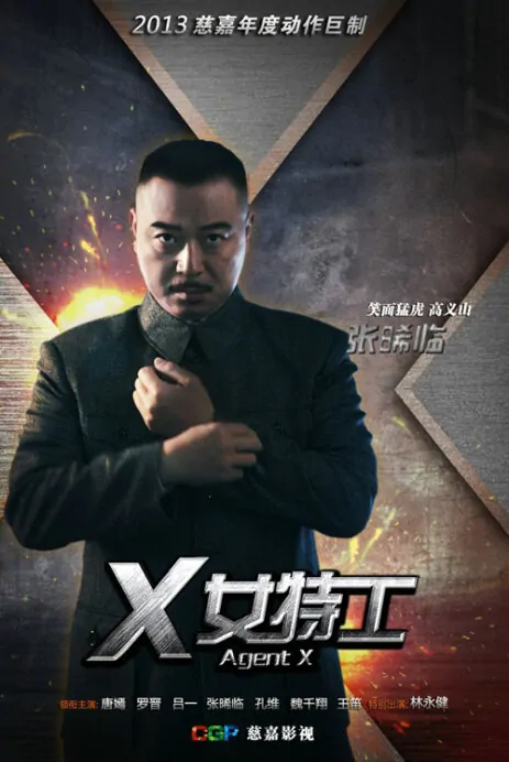 Agent X Poster, 2013