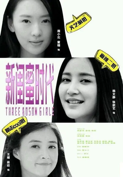 Three Bosom Girls Poster, 2014