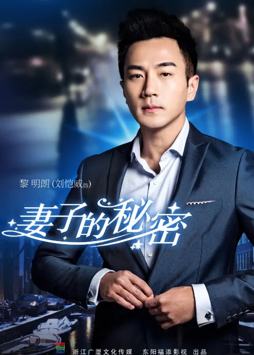 Wife's Secret Poster, 2014 Chinese TV drama series