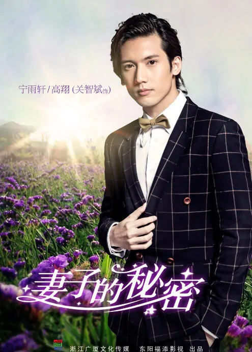 Wife's Secret Poster, 2014 Chinese TV drama series
