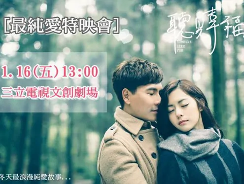 Someone Like You Poster, 2015 Chinese TV drama series