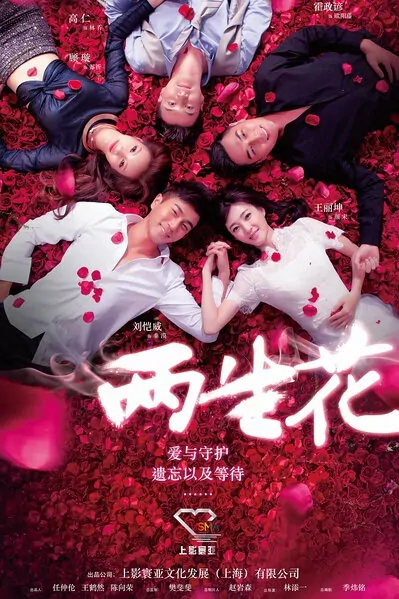 Two Flowers Poster, 2015 Chinese TV drama series