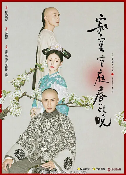 Chronicle of Life Poster, 2016 Chinese TV drama series