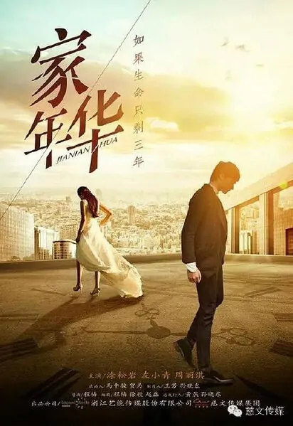 Family Years Poster, 2016 Chinese TV drama series