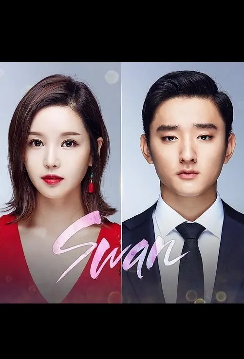 Swan Poster, SWAN他的秘密 2017 Chinese TV drama series