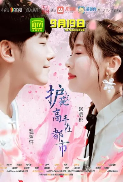 Flower Guard in the City Poster, 护花高手在都市 2018 Chinese TV drama series