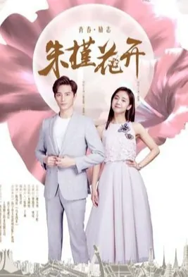 Zhu Jin Flower Blooms Poster, 朱槿花开 2018 Chinese TV drama series