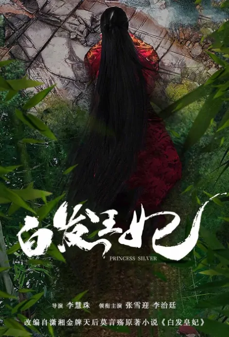 Princess Silver Poster, 白发王妃 2019 Chinese TV drama series