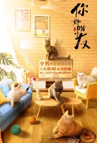 My Catmate Poster, 你好喵室友 2020 Chinese TV drama series