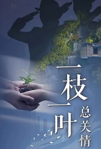 One Branch and One Leaf Poster, 一枝一叶总关情 2020 Chinese TV drama series