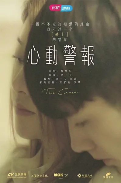 The Crush Poster, 心动警报 2020 Chinese TV drama series