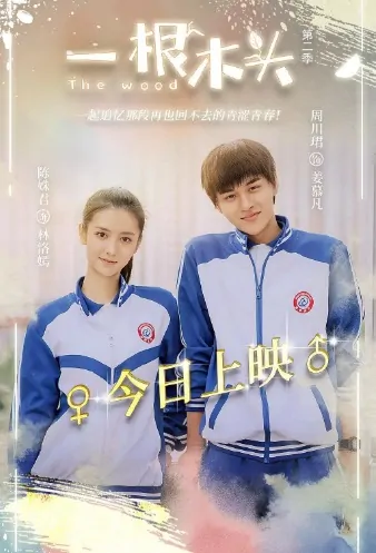 The Wood 2 Poster, 一根木头2 2020 Chinese TV drama series