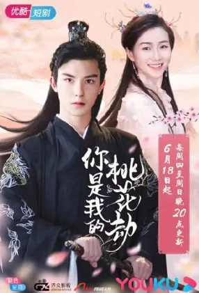 You Are My Peach Blossom Poster, 你是我的桃花劫 2020 Chinese TV drama series