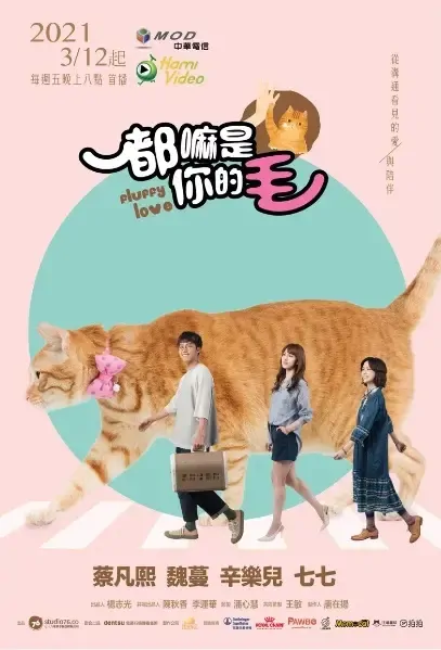 Fluffy Love Poster, 都嘛是你的毛 Taiwan drama 2021, TV drama series
