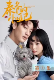 Love Beyond Words Poster, 秦爷的小哑巴 2021 Chinese TV drama series