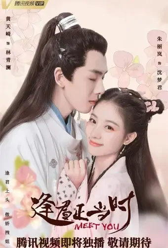 Meet You Poster, 逢君正当时 2021 Chinese TV drama series