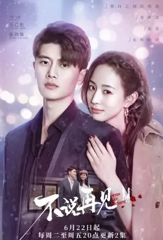 Never Say Goodbye Poster, 不说再见 2021 Chinese TV drama series