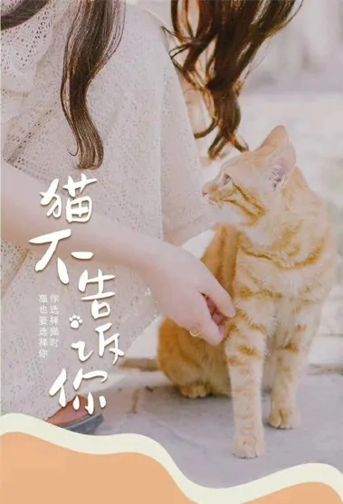 A Cat's Secret Poster, 猫不告诉你 2022 Chinese TV drama series