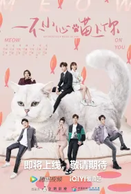 Accidentally Meow on You Poster, 一不小心喵上你 2022 Chinese TV drama series
