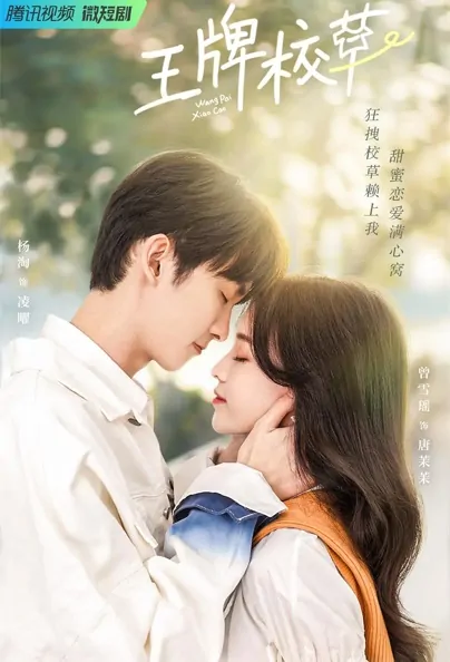 Campus Ace Poster, 王牌校草 2022 Chinese TV drama series
