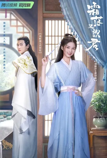 Frost Falls and Knows You Again Poster, 霜落又识君 2022 Chinese TV drama series