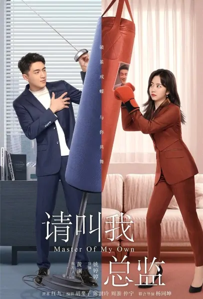 Master of My Own Poster, 请叫我总监 2022 Chinese TV drama series