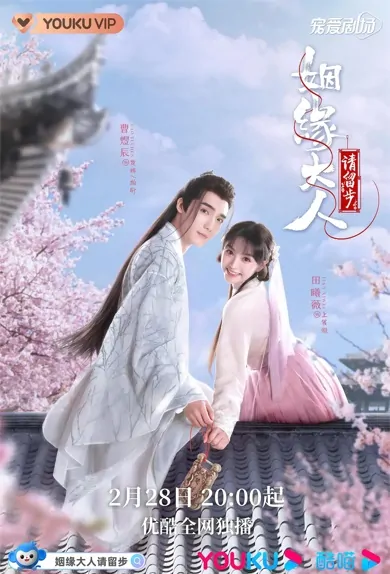 Ms. Cupid in Love Poster, 姻缘大人请留步 2022 Chinese TV drama series