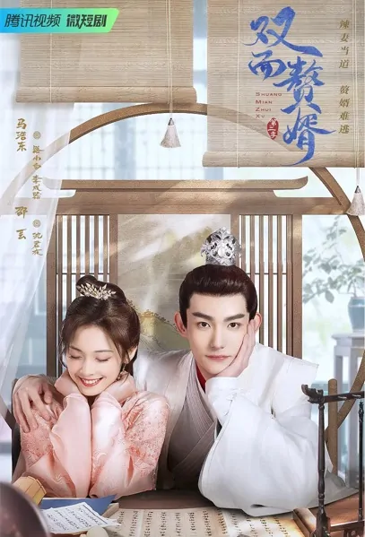 My Bossy Wife 2 Poster, 双面赘婿2 2022 Chinese TV drama series