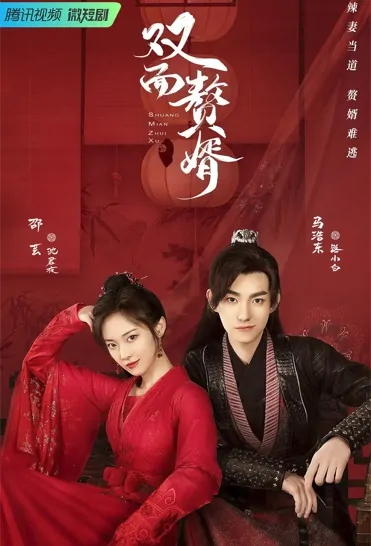 My Bossy Wife Poster, 双面赘婿 2022 Chinese TV drama series