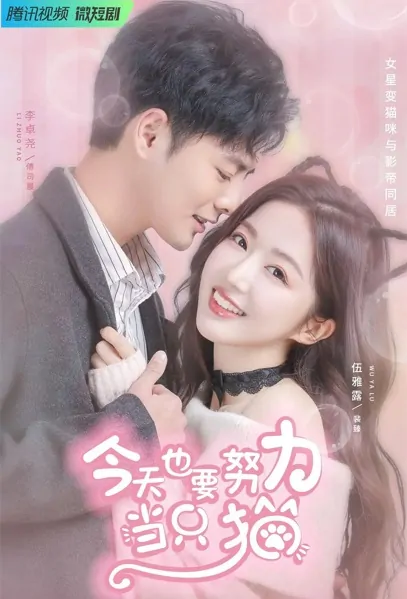 My Cat-astrophic Lover Poster, 今天也要努力当只猫 2022 Chinese TV drama series