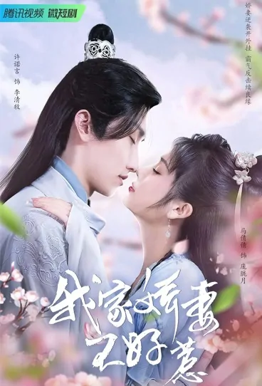 My Wife Is Not Easy to Mess with Poster, 我家娇妻不好惹 2022 Chinese TV drama series
