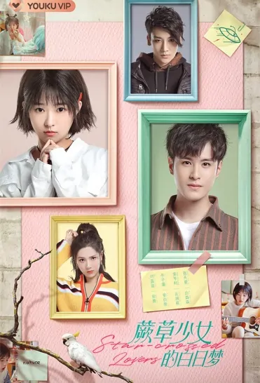 Star-Crossed Lovers Poster, 蕨草少女的白日梦 2022 Chinese TV drama series