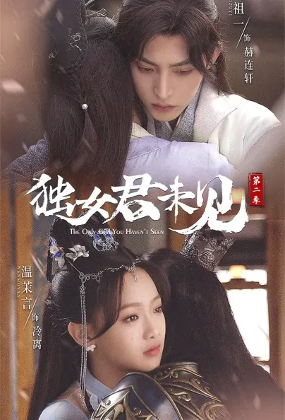 The Only Girl You Haven't Seen 2 Poster, 独女君未见2 2022 Chinese TV drama series