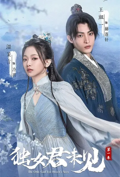 The Only Girl You Haven't Seen Poster, 独女君未见 2022 Chinese TV drama series