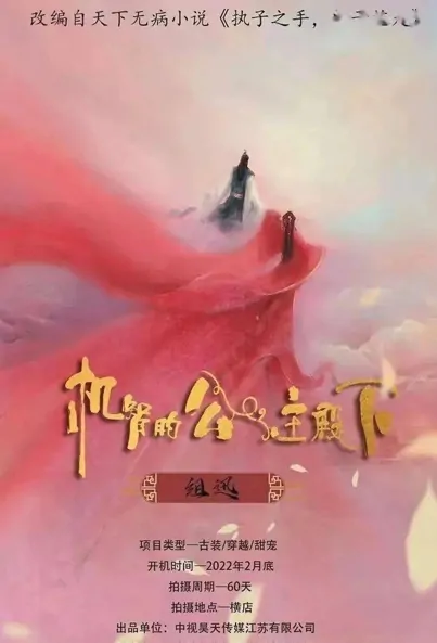 The Royal Highness of the Princess Poster, 机智的公主殿下 2022 Chinese TV drama series