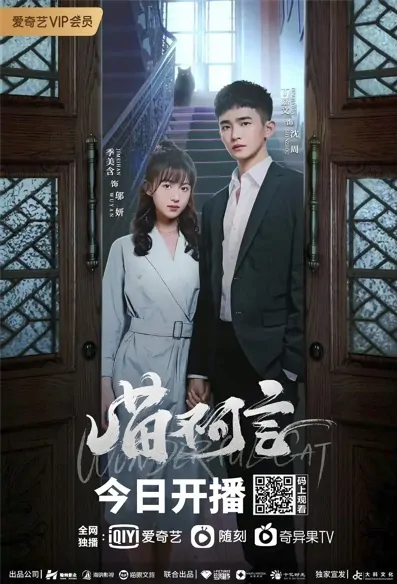 Wonderful Cat Poster, 喵不可言 2022 Chinese TV drama series