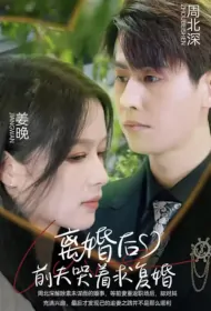 After the Divorce, Ex-Husband Cried and Asked for Remarriage Poster, 离婚后前夫哭着求复婚 2023 Chinese TV drama series