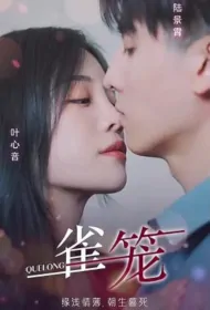 Bird Cage Poster, 雀笼 2023 Chinese TV drama series