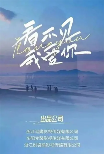 Can't See I Love You Poster, 看不见我爱你 2023 Chinese TV drama series