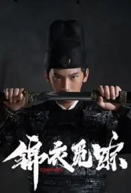 Control 2 Poster, 锦衣觅踪 2023 Chinese TV drama series