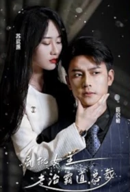 Crazy Criticism of Female Lead Poster, 疯批女主角专治霸道总裁 2023 Chinese TV drama series
