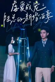 Define Your Style Poster, 陆总的新婚哑妻 2023 Chinese TV drama series