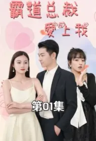 Domineering President Falls in Love with Me Poster, 霸道总裁爱上我 2023 Chinese TV drama series
